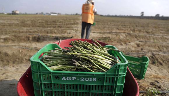 El sector agropecuario anotó un avance de 0.8% en febrero. (Foto: GEC)