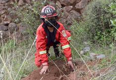 Bomberos participan en reforestación de zonas arrasadas por incendios forestales (FOTOS)