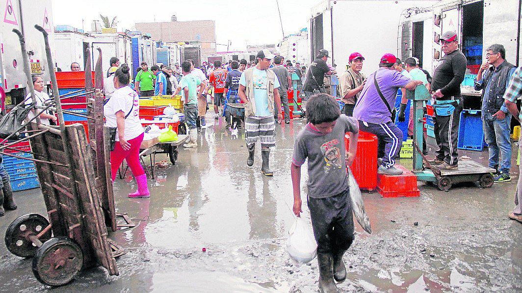Trujillo: Mercado Mayorista Pesquero en el olvido (VIDEO) 