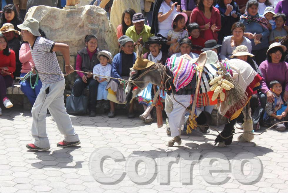 Vea la divertida carrera de burros de Semana Santa (Fotos)