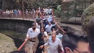 Colapsa puente colgante en reinauguración de un parque en México (VIDEO)