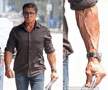 Sylvester Stallone revela antebrazos con prominentes venas