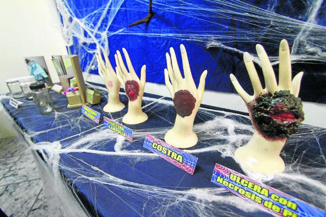 Arequipa: Araña casera es mucho más mortal que viuda negra