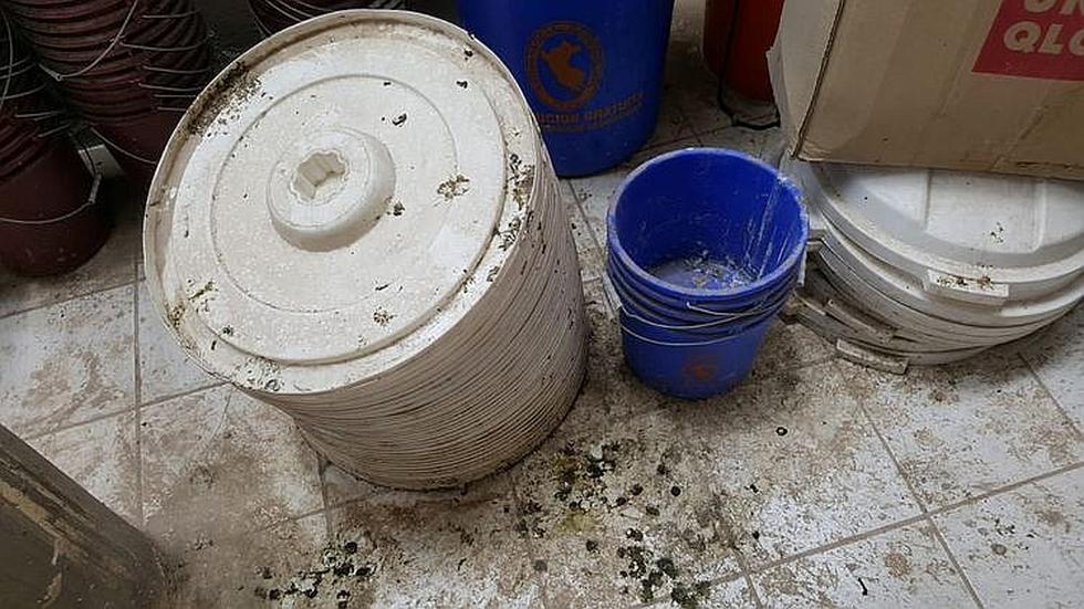 Donaciones para combatir frío se malograron en el distrito de Caylloma