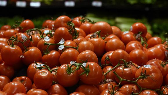 ¿Por qué los tomates ya no tienen el mismo sabor de antes?