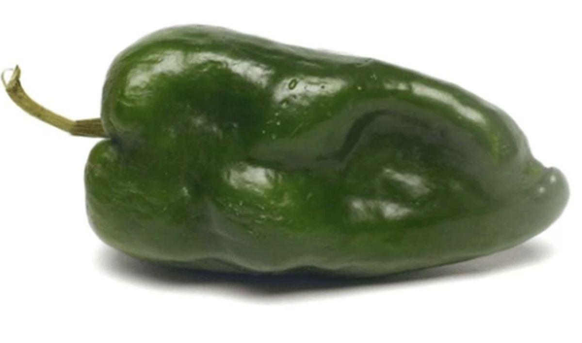 El chile poblano es un gran aliado en la lucha contra el cáncer debido a sus vitaminas y antioxidantes (Foto: Pixabay)