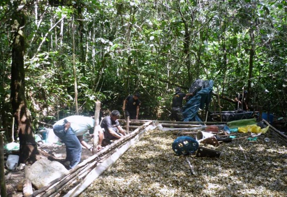 Policía destruyen un laboratorio de droga en Aucayacu