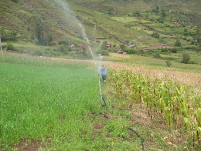 Licitarán proyectos de irrigación por 10 millones