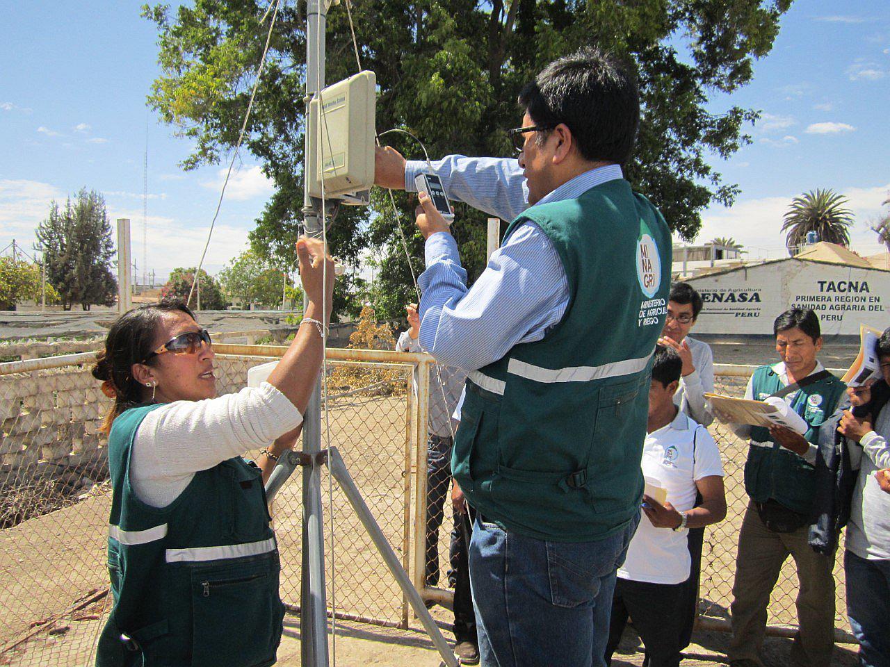 Tacna: Senasa intensificará sistema de vigilancia para combatir mosca de la fruta