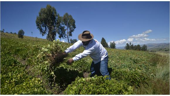 Pequeños productores de agricultura familiar que posean hasta cinco hectáreas serán principales beneficiados. (Foto: GEC)