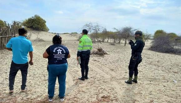 Los ladrones se habrían llevado a los animales en un camión.