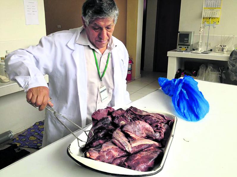 Decomisan carne malograda en carnicerías de Ica