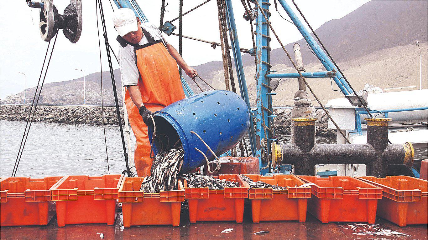 Derechos de pesca serán menores para el consumo humano