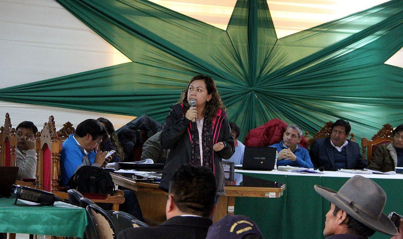 OEFA informa sobre evaluación ambiental en cuenca Llallimayo de Puno