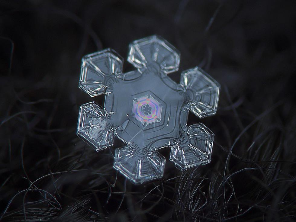 Navidad: Así se ve un copo de nieve a través de un microscopio (FOTOS)