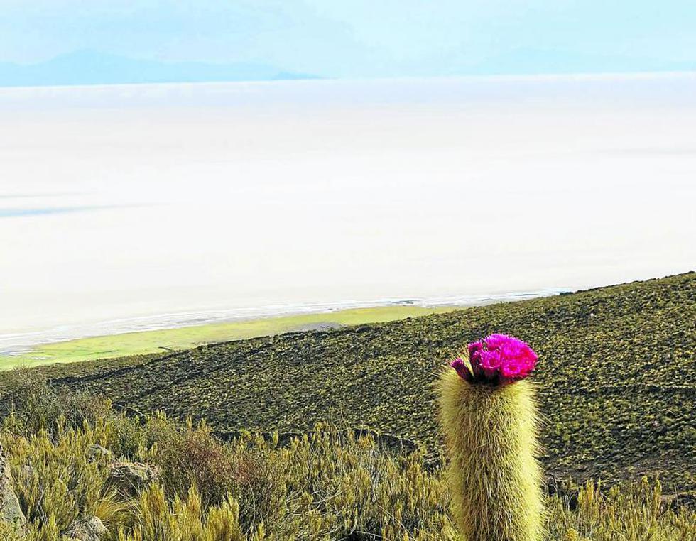Bolivia: La maravilla del salar de Uyuni (FOTOS)