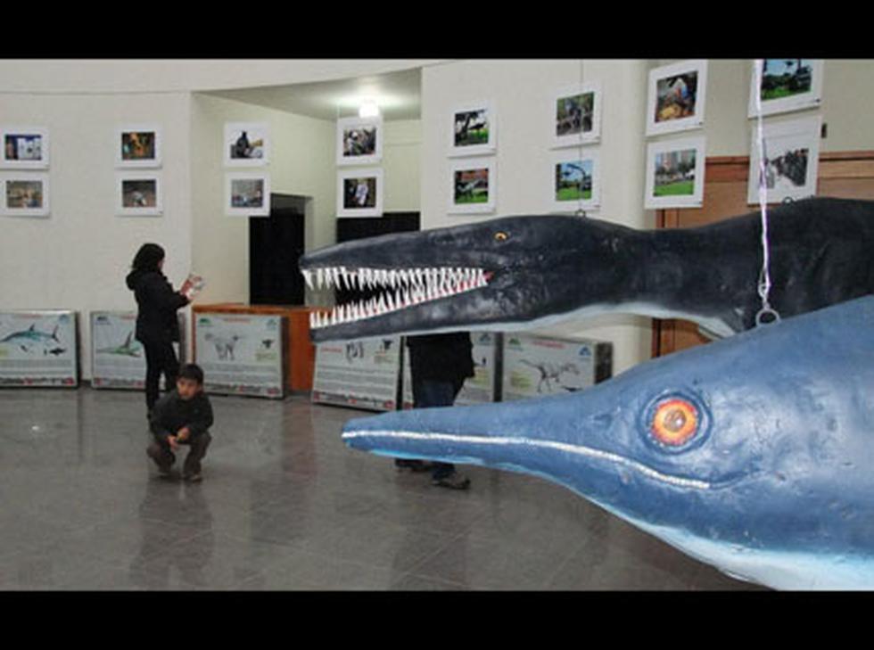 Muestra gratuita de dinosaurios en tamaño real recorre Ancash