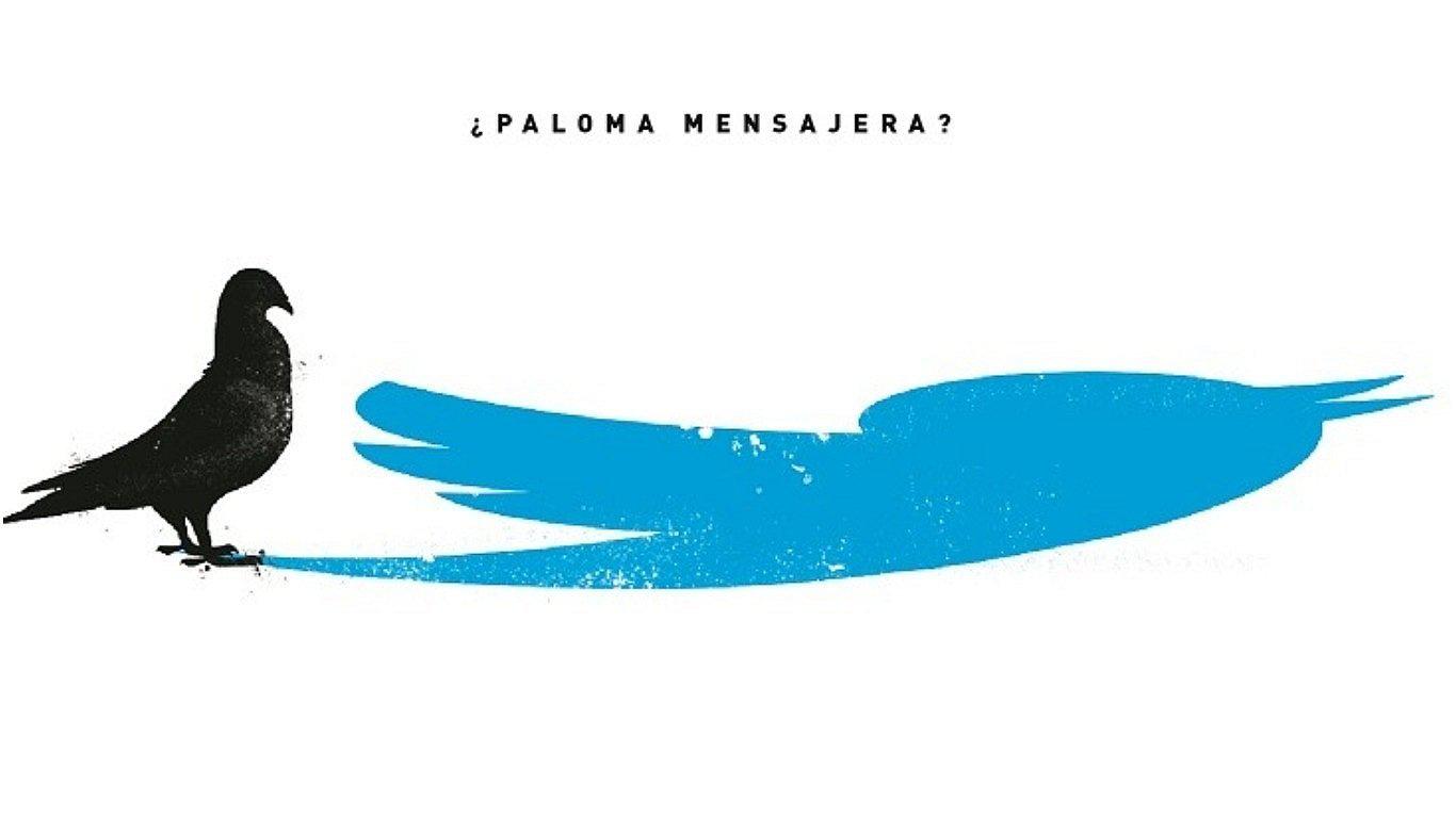 ¿Paloma mensajera?