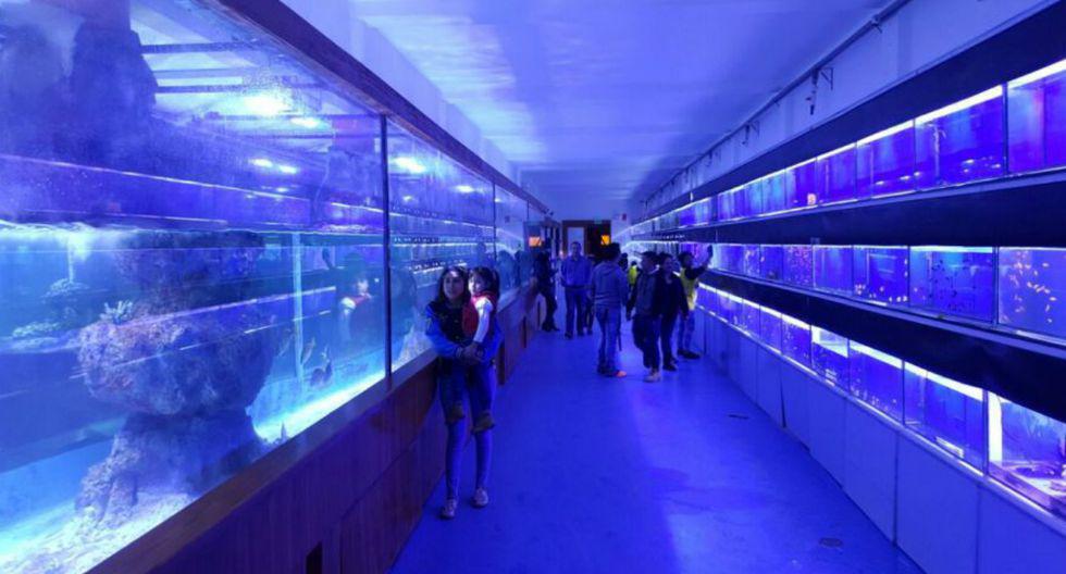 Acuario cuenta con un sistema de reutilización del agua. (Foto: Nautilus)