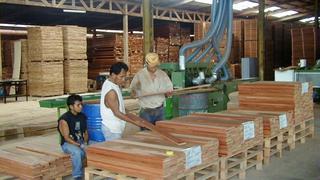 Fabricarán ataúdes con madera de tala ilegal en la región Ucayali