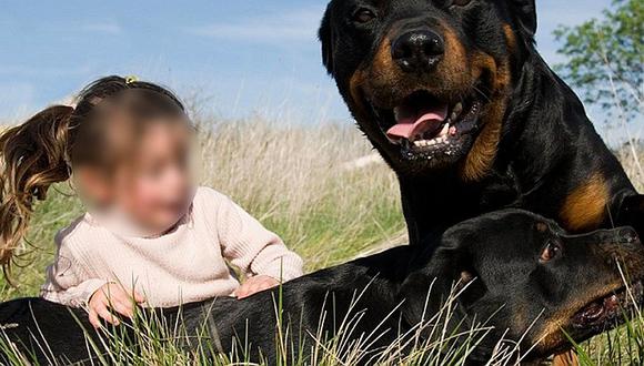 Conmociona muerte de niña tras ser atacada por el perro de propiedad de su hermano 
