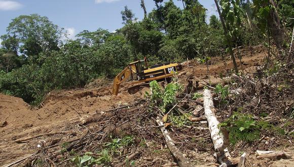 Minería ilegal deforestó 130 hectáreas de reserva en seis meses