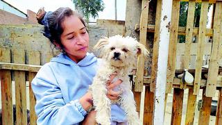 Cristóbal: el perrito que fue abandonado tras la muerte de su amo por COVID-19 en Huancayo