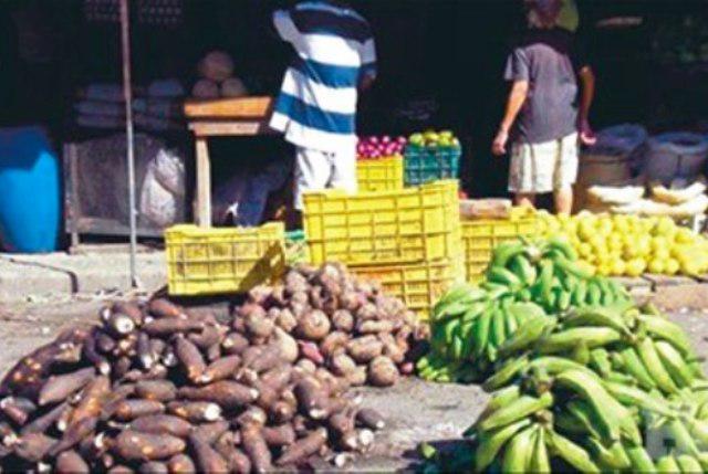 En la selva central plátano y yuca reemplazan a la papa