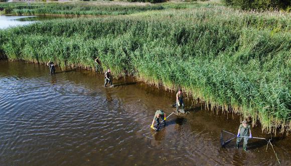 Soldados y bomberos retiran peces muertos del río Oder cerca de Slubice, en el oeste de Polonia, el 12 de agosto de 2022. El Ministerio de Defensa de Polonia desplegó 150 soldados WOT para operaciones en la sección Lubuskie del río.  (EFE/EPA/Lech Muszynski)