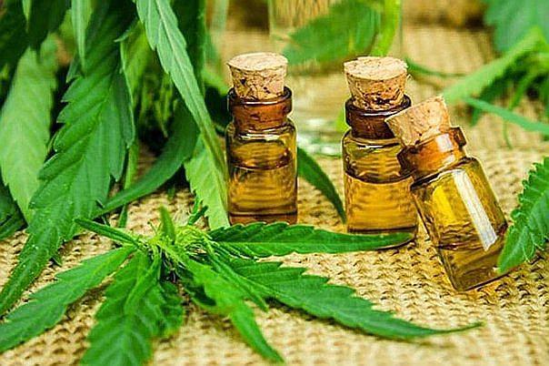 Pacientes esperan reglamento del cannabis medicinal