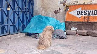 Anciano muere en la calle y su mascota se niega a dejarlo en Cusco (FOTOS)