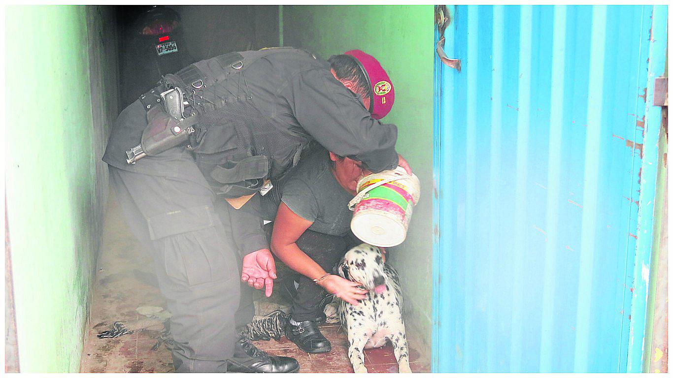 Huancayo: Policía hace de todo por salvar a mascota de envenenamiento (VIDEO)