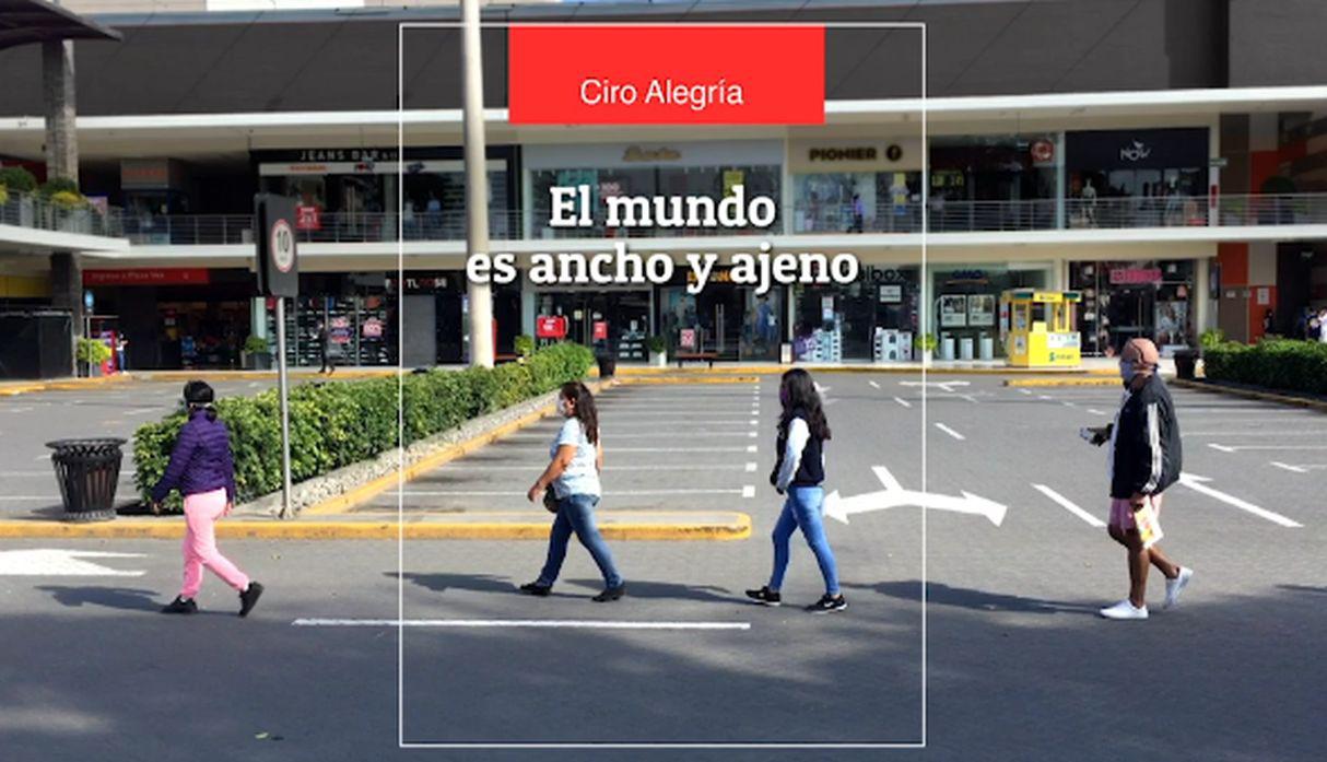 Cámara Peruana del Libro lanza campaña para fomentar la lectura en tiempos de crisis. (Foto: Captura de video)