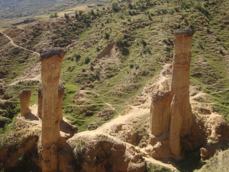 Torre Torre es refugio de violadores y delincuentes