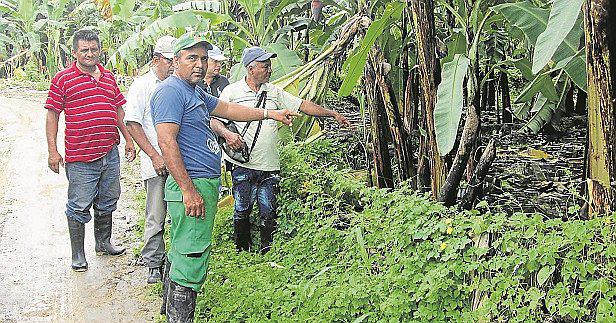 Tumbes: Los agricultores exigen atención y el compromiso de las autoridades 