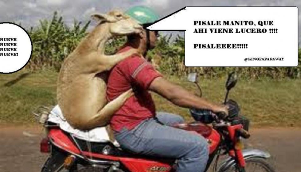 Con memes critican a Lucero por tomarse fotos con un animal cazado