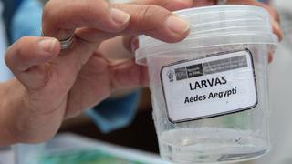 Colegio Médico acerca de casos de dengue en Lima: “Son pocos, pero el riesgo de expansión es elevado”