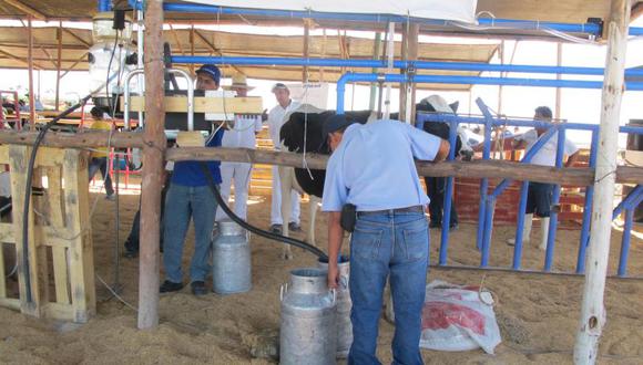 120 mil litros de leche diarios produce Majes