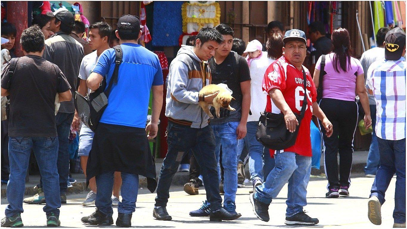 Venta ilegal de animales continúa incontrolable en Centro de Lima