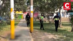 Hombre fue asesinado por sicario en los exteriores de un colegio en Comas (VIDEO)
