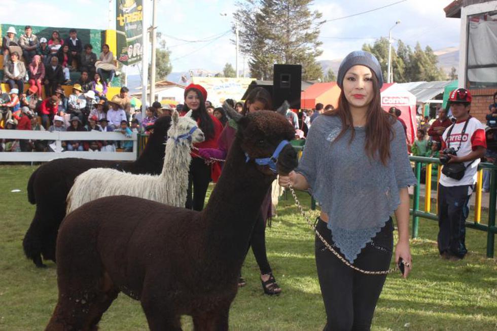 Alpacas reemplazan a "galanes" en desfile de modas (FOTOS)