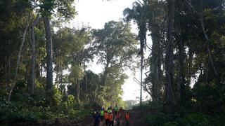 Crean la primera Unidad de Gestión Forestal y de Fauna Silvestre en Madre de Dios