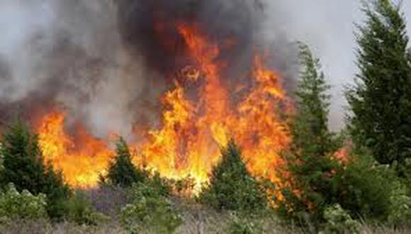 Dos bomberos mueren en incendios forestales en Australia