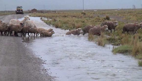 ​Por lo menos cuatro provincias sufren estragos de las lluvias en Puno