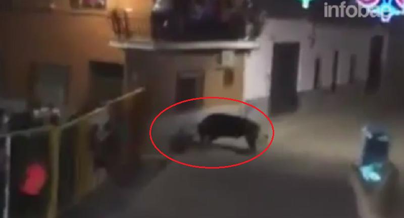 YouTube: Filmaba encierro de toros en España y murió corneado