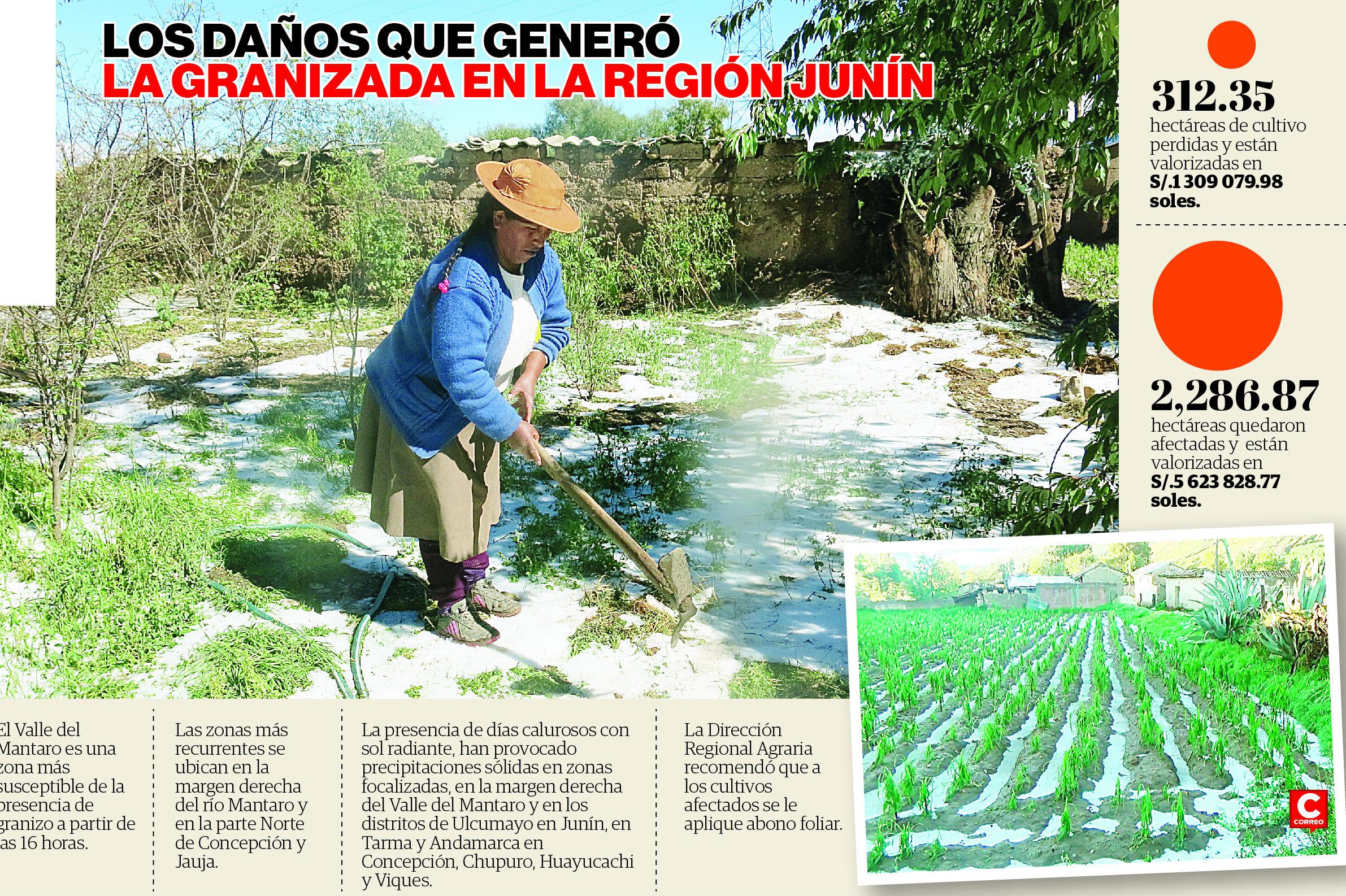 ​Granizada genera daños por 7 millones de soles en la región Junín