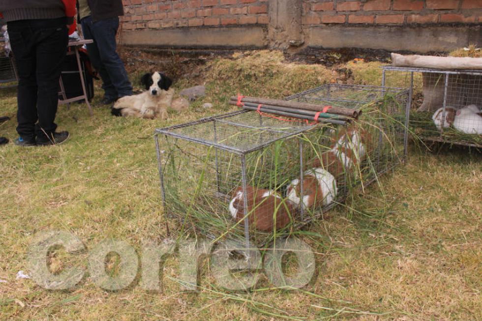 Artesanos jaujinos presentan el cucharón más grande del mundo (FOTOS)