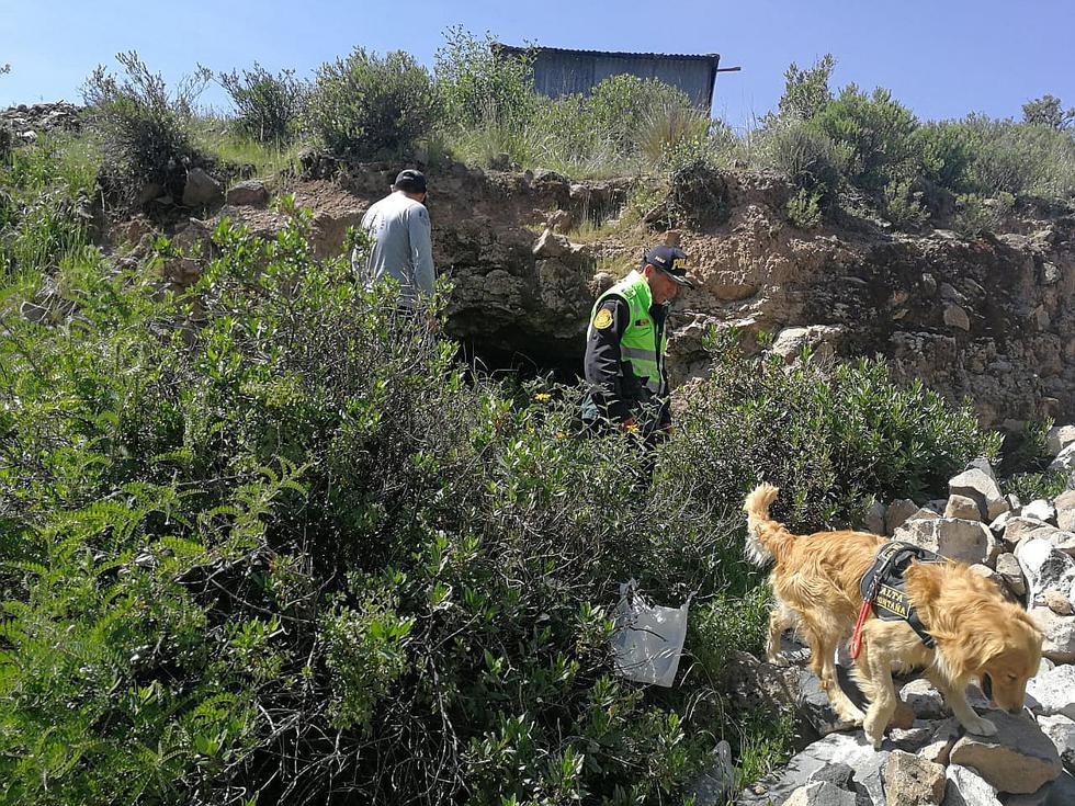 Policía usa dron y perros para buscar a joven desaparecido hace 2 semanas