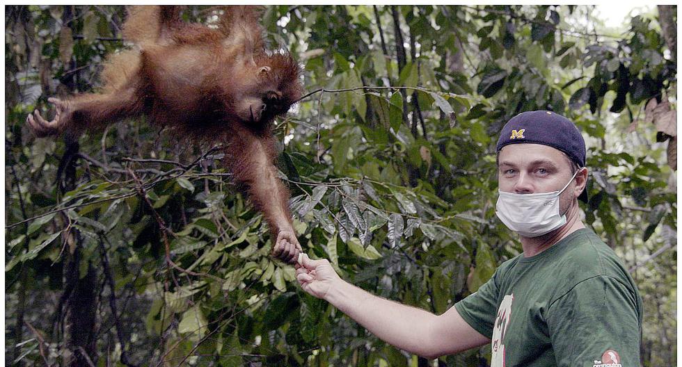 Leonardo Dicaprio Si Te Perdiste El Documental Antes Que Sea Tarde Aquí Puedes Verlo Video 