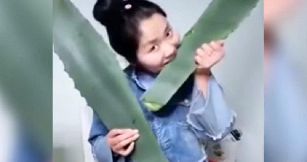 Facebook: Comía planta para demostrar sus beneficios y descubre en vivo que era venenosa [VIDEO]